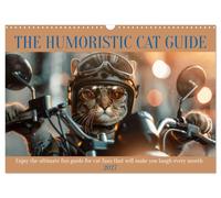 The humoristic cat guide (Wall Calendar 2027 DIN A3 landscape), CALVENDO 12 Month Wall Calendar: Enjoy the ultimate fun guide for cat fans that will make you laugh every month