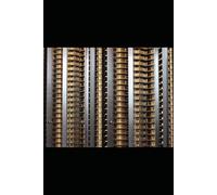 The Hundred Dollar Launch: How to Print Money with Forex (Making Money From Scratch)