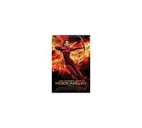 The Hunger Games Final Maxi Poster, Wood, Multi-Colour