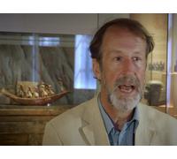 The Hunt for the Book of Spells