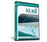 The Ice Age