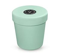 The Ice Cream Canteen Vacuum Insulated Double Wall Stainless Steel Thermos Container for the pint of ice cream enjoy ice cream anywhere (Mint Green)
