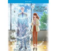 The Ice Guy And His Cool Female Colleague - The Complete Season Blu-Ray