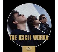 The Icicle Works - 5 Album Box Set