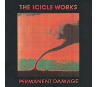 The Icicle Works - Permanent Damage