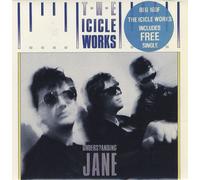The Icicle Works - UNDERSTANDING JANE 7 INCH (7" VINYL 45) UK BEGGARS BANQUET 1986