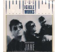 The Icicle Works Understanding Jane UK 7" vinyl single record BEG160 Chappel 1986