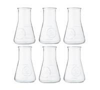 The Illusionist Gin & Tonic Glass Set of 6 (Erlenmeyer Flasks), 250 ml