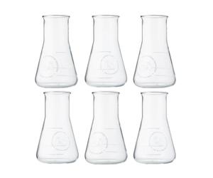The Illusionist Gin & Tonic Glass Set of 6 (Erlenmeyer Flasks), 250 ml