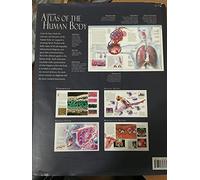 The Illustrated Atlas of the Human Body