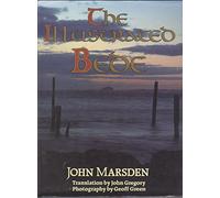 The Illustrated Bede