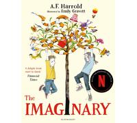 The Imaginary : an unforgettable story of friendship