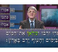 The Imperative Form in Hebrew