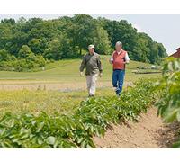 The Importance of Genesis to Our Culture : Bountiful Blessings Farm