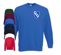 The Inbetweeners School Jumper | Halloween | Fancy Dress | Stag Doo | Cosplay (UK, Alpha, XL, Regular, Regular)