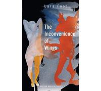 The Inconvenience of Wings (Oberon Modern Plays)