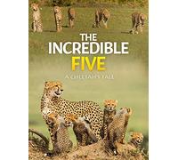 The Incredible Five - A Cheetah's Tale