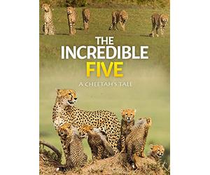 The Incredible Five - A Cheetah's Tale