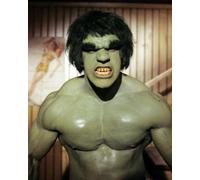 The Incredible Hulk (TV) Lou Ferrigno 10x8 Photo