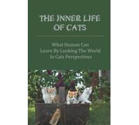 The Inner Life Of Cats: What Human Can Learn By Looking The World In Cats Perspectives