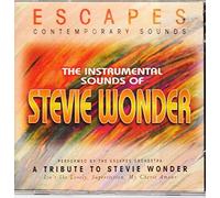 The Instrumental Sounds of Stevie Wonder