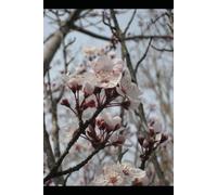 The Interesting Narrative of the Life of Olaudah Equiano: A Classic Slave Narrative with Introduction, Historical Context, and Study Guide