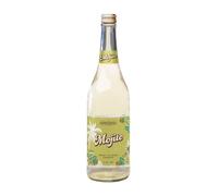 The Island Cocktail Company | Mojito Spritz Ready to 3.4% ABV | 75 eatures a clear flavour, format or serving role to help shoppers choose accurately.
