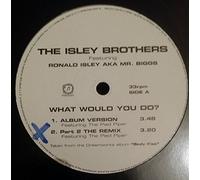 The Isley Brothers - What Would You Do?