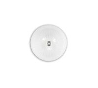 The Italian Collection Shell 3 Light Flush Ceiling Fitting in Clear Finish