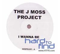The J Project - I Wanna Be [Vinyl Single] [VINYL]