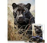 The Jaguar Kingdom Jigsaw Puzzles for Teenagers 1000 Pieces Raise Memory Slow Enjoy Clean Edge (38x26cm)