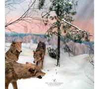 The Jealous Sound - A Gentle Reminder Deluxe Edition