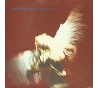 The Jeremy Days - Brand New Toy