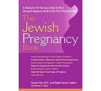 The Jewish Pregnancy Book: A Resource for the Soul, Body & Mind during Pregnancy, Birth & the First Three Months
