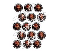 The Joe Rogan Experience JRE Edible Icing Sheet A4 15 Cupcake Toppers