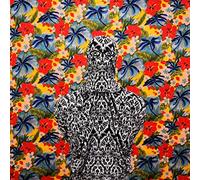 The John Steel Singers - Everything's A Thread [VINYL]