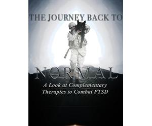 The Journey Back to Normal: A Look at Complementary Therapies to Combat PTSD