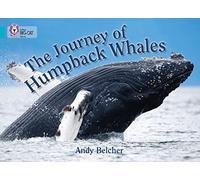 The Journey of Humpback Whales: Band 07/Turquoise (Collins Big Cat)