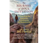 The Journey of Soul Initiation: A Field Guide for Visionaries, Revolutionaries, and Evolutionaries: A Field Guide for Visionaries, Evolutionaries, and Revolutionaries
