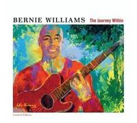 The Journey Within by Williams, Bernie (2003-07-15)