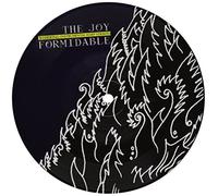 The Joy Formidable - I Don'T Want To See You Like This