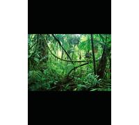 The Jungle Medicine Chest: Your Survival Pharmacy from the Rainforest to Your Backyard (The Jungle Wisdom Series)