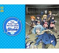 The Jura Forest Alliance