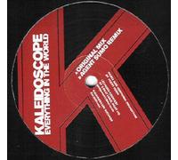 The Kaleidoscope - Everything In The World (Remix)