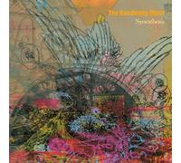 The Kandinsky Effect - Synesthesia