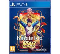 The Karate Kid: Street Rumble PS4