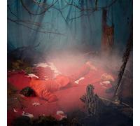 The Kernal - Listen To The Blood [VINYL]