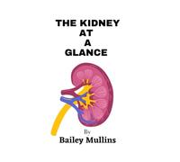 The Kidney At A Glance: An Introductory Book About The Kidney