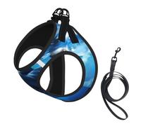 The Killer Whale in The sea Dog Harness - Equipped with Reflective Straps and Quick Release Buckles - Suitable for Small Cats and Dogs