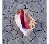 THE KILLERS (US) - WONDERFUL WONDERFUL NEW CD